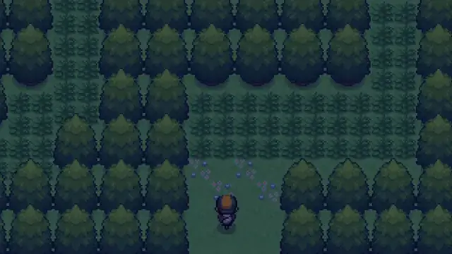Dark forest at night in Pokemon Reloaded with the player character exploring