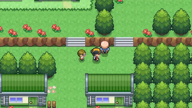 Overworld town in Pokemon Reloaded with trainers and buildings