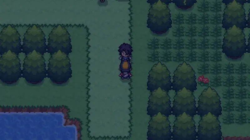 Two trainers meeting on a night route in Pokemon Reloaded