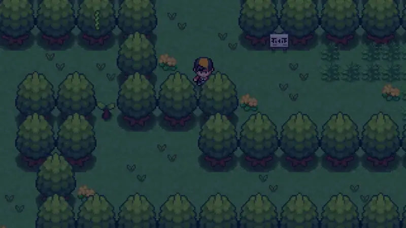Night forest route in Pokemon Reloaded with the player exploring